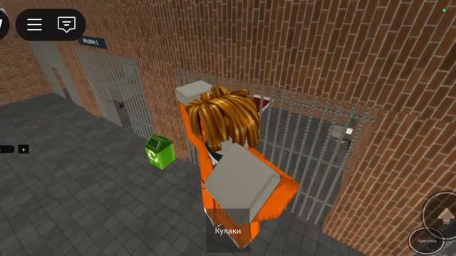1000031109.mp4