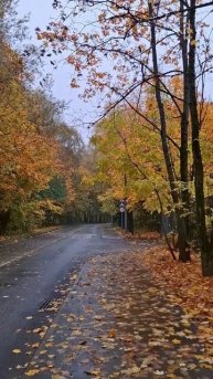 День полон событий, закончился очень неожиданным визитом #минивлог