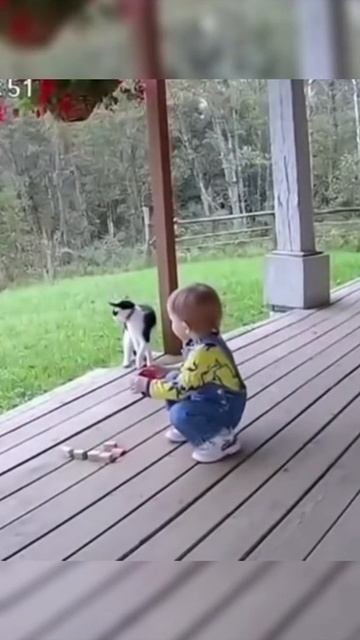 кота боится даже медведь