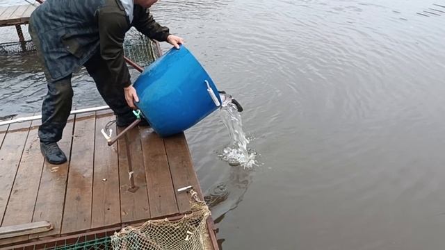 Forest Fishing 10.10.25