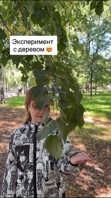 Все живое! Контакт с деревом.