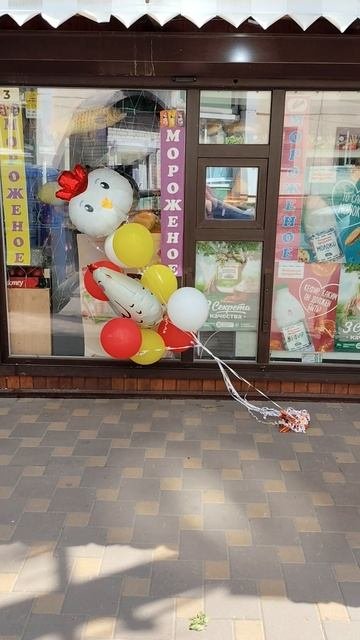 курочки на ветру • шары 🎈🎈🎈 Украшение входа