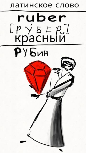Ruber запоминалка латинского слова от Бромедика
