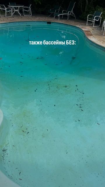 ЗАЧЕМ НУЖНА АВТОМАТИКА ДЛЯ БАССЕЙНА? #автоматика #acon #тренды