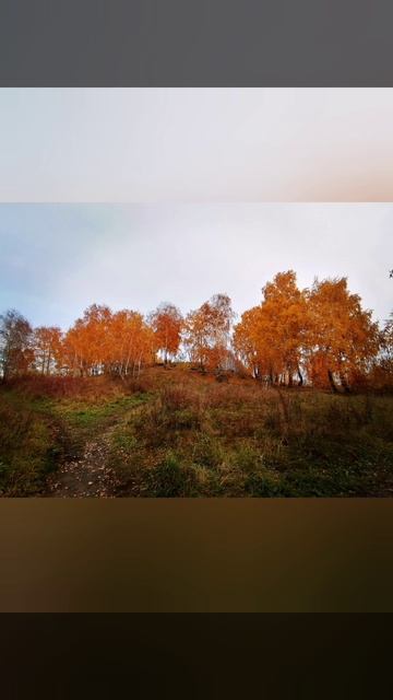 Прогулка со спинингом по Верх-Исетскому пруду