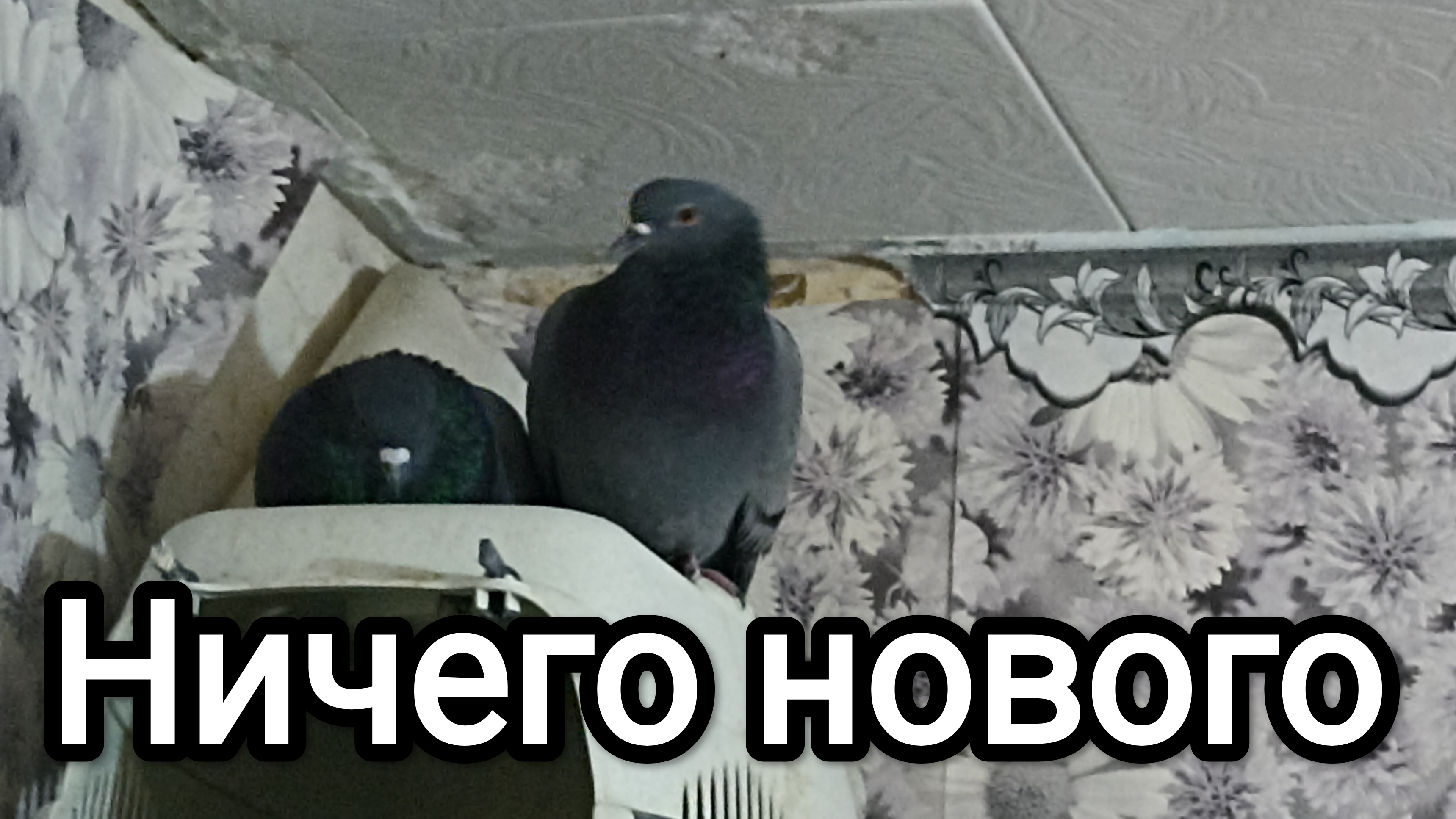 10-10-2025. Ничего нового.