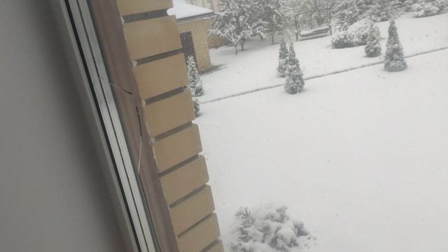 первый снег в октябре