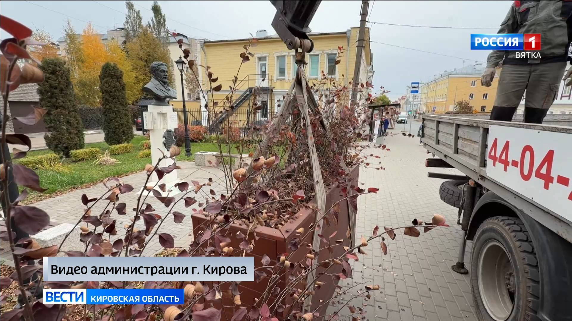 С улиц Кирова на зимовку убирают емкости с растениями