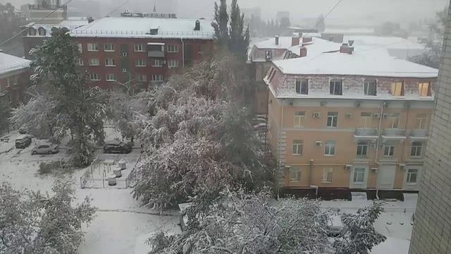 VID_20251010_174632.mp4