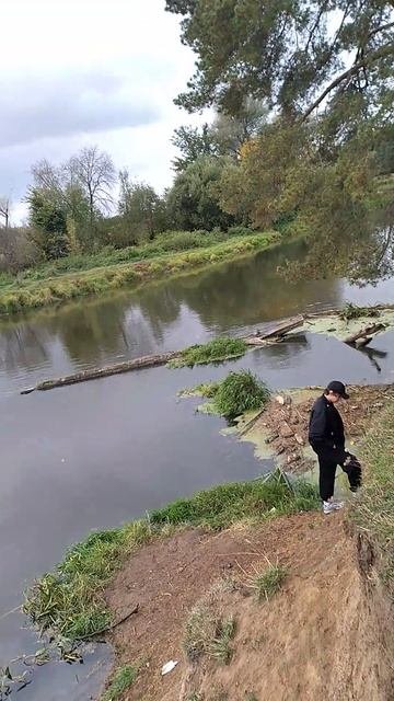 Спускаемся по склону высокого берега реки Клязьма к сосне растущей под наклоном