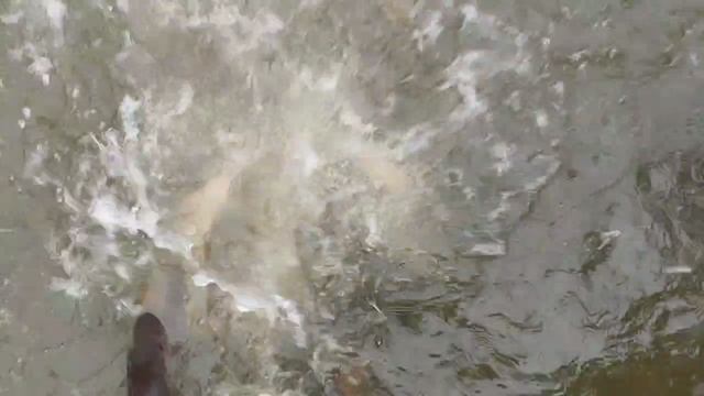 1000037177.mp4