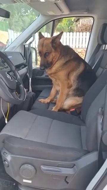 Вот как выглядит недоверие 😁