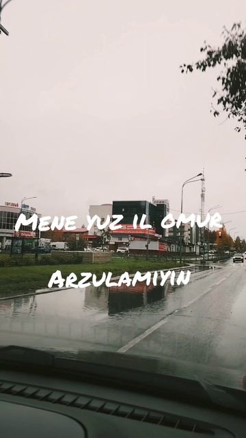 Mene Yuz Il  Omur Arzulamiyin