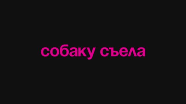 Собаку съела (2024) Трейлер