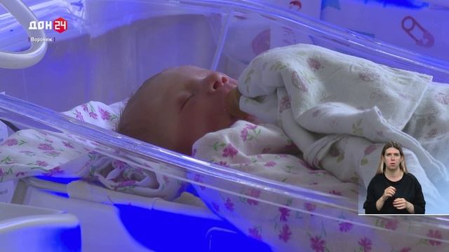 Содружество Донбасс 10.10.2025