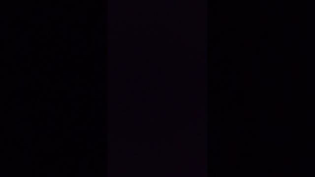 Сборка черепахи