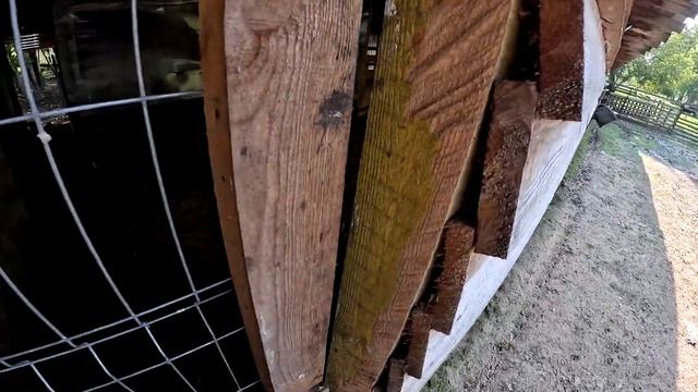 Кто это сделал ? Он притащил его сюда . ХУТОР В ЛЕСУ №838
