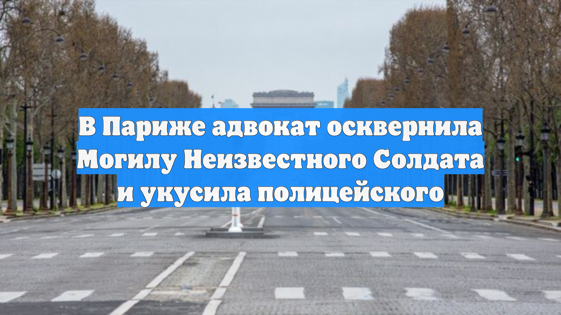 В Париже адвокат осквернила Могилу Неизвестного Солдата и укусила полицейского
