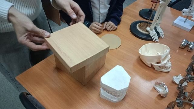 Искусственные части тела