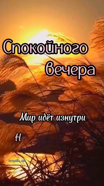 VID_20251010_200121_972.mp4