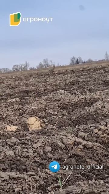 В мире животных с Агроноут. А какие звери обитают на ваших полях? #farming #животные #фермерство