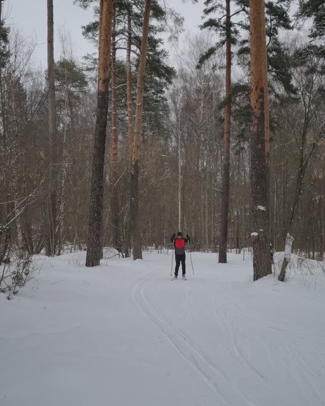 Прогулка на лыжах по  парку.