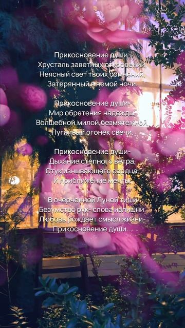 Волшебные стихи о Любви, о смысле жизни #стихи  #читаюстихи #стихиолюбви #смыслжизни  #рек #шортс