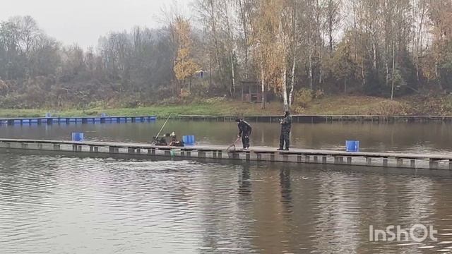 10.10.25 Ловля форели в VIP зоне