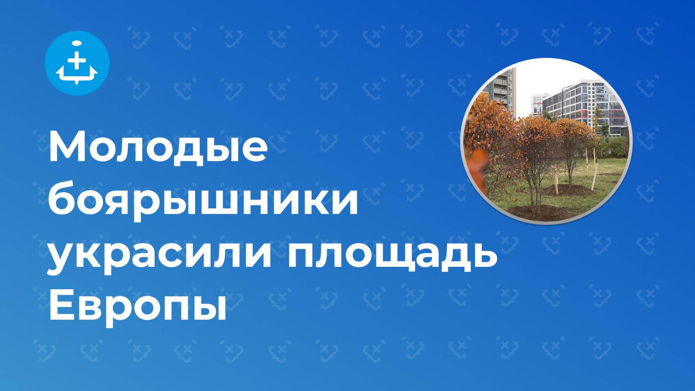 Молодые боярышники украсили площадь Европы