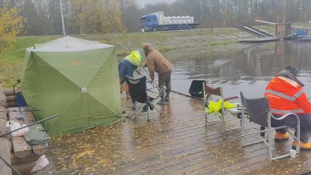 ФОРЕЛЬ