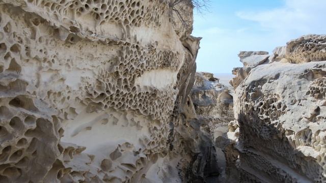 Ущелье Ыбыкты сай. Эпизод первый