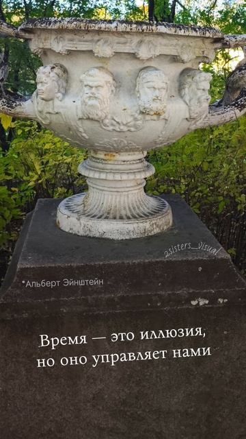 Цитата дня