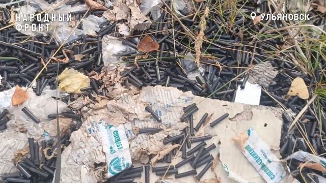 🚯 Активисты ОНФ обнаружили, что на Академика Сахарова, где год назад уже убирали 71 кубометр отходо