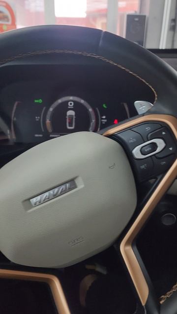 Haval Jolion - установили охранный комплекс StarLine S96 GSM