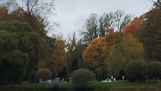 В парке у воды.