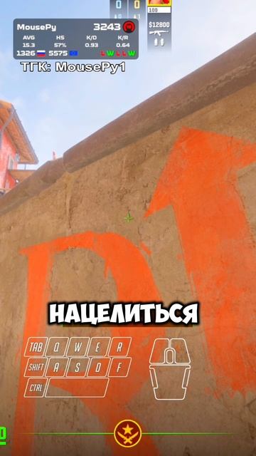 ТГК: MousePy1 #кс #кс2 #cs2 #cs #csgo2 #csgo #кс2моменты