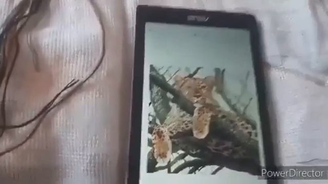 🎥15.✨❤️💖Планы,которым не суждено сбыться💖❤️✨
