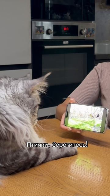 Охота в 2025 