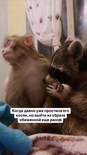 🤣🤣 Подождёт