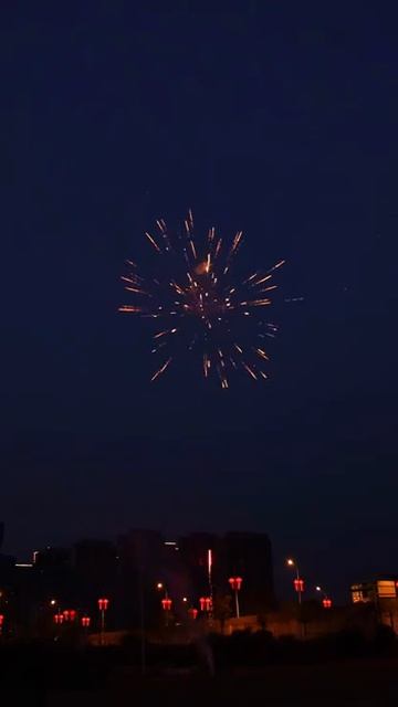 SB146 Пельмень хаус 49*0,8