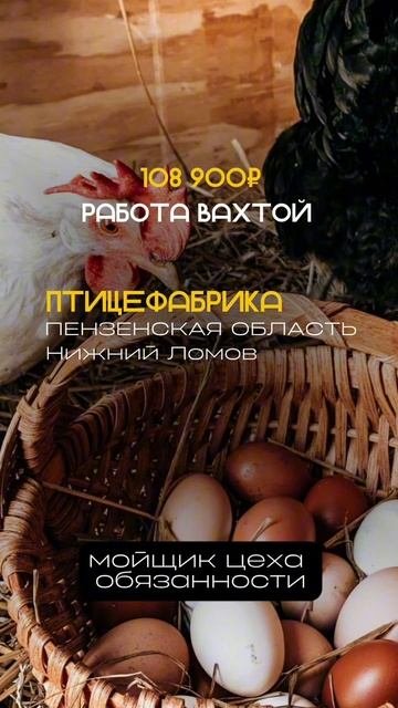 Заполняй анкету в шапке профиля!