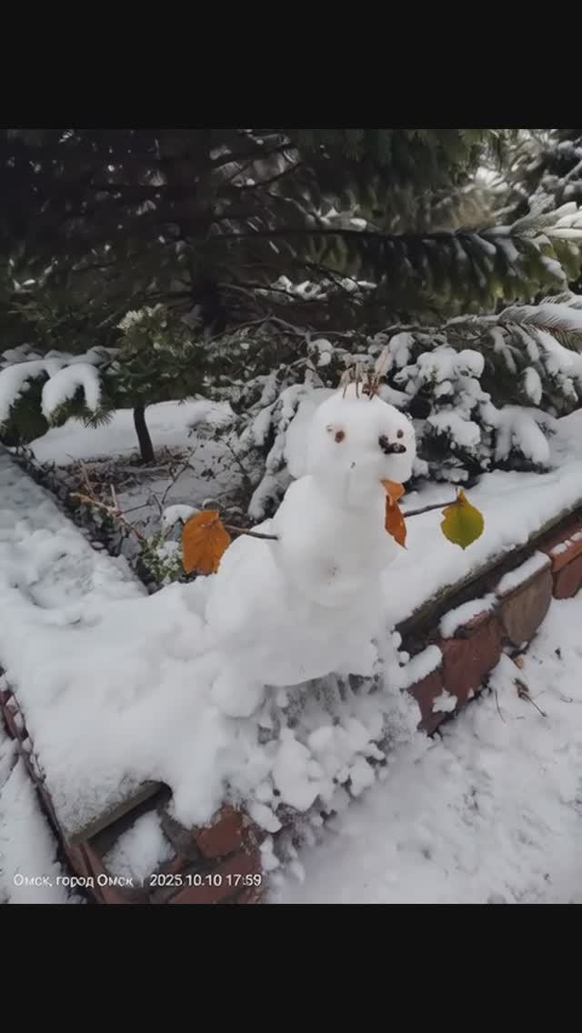 Снеговики оживают! Волшебство первого снега...🥰