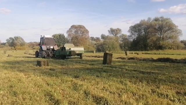 Заготовка квадратных тюков 2025
