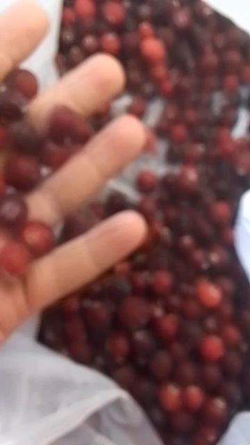 дары природы 🤤