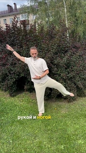 нейрогимнастика