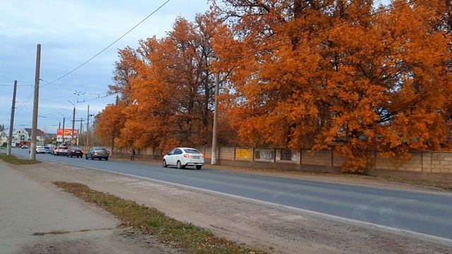 Tram Trolleybus Bus Ufa Bashkiria Russia электробус троллейбус уфа башкирия 10 10 2025