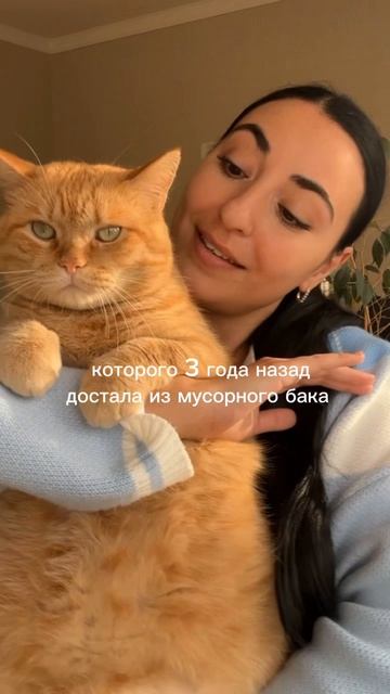 Для меня это самая любимая и дорогая порода 🥹❤️