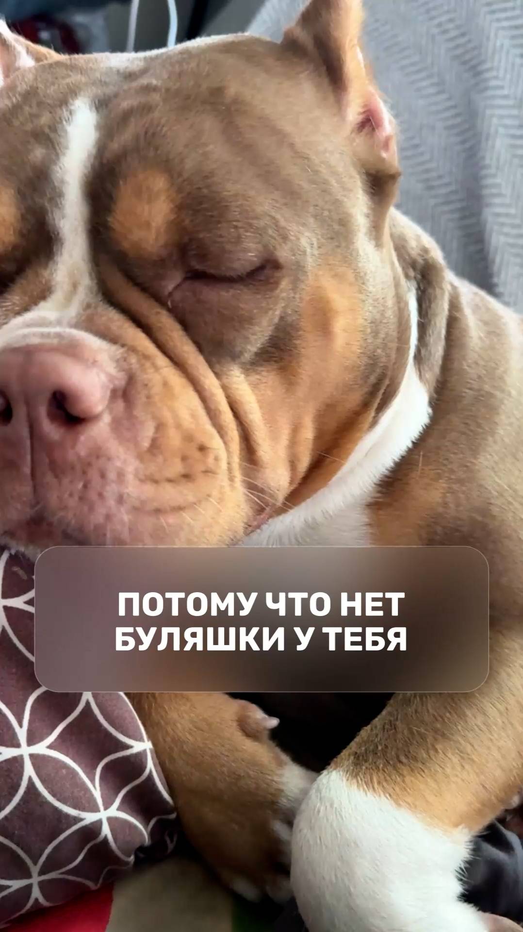 Потому что нет буляшки у тебя