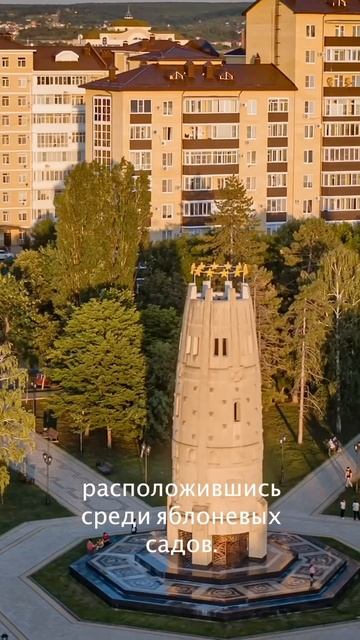 Адыгейский сыр — не деликатес, а продукт на каждый день