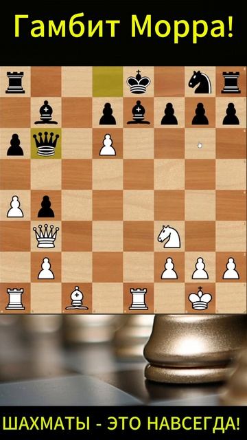 Учимся играть Гамбит Морра! Шахматы